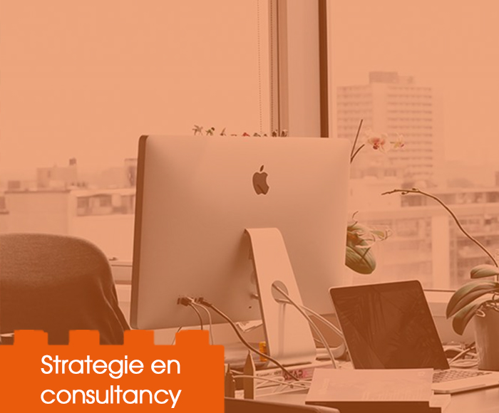 Interim online marketeer